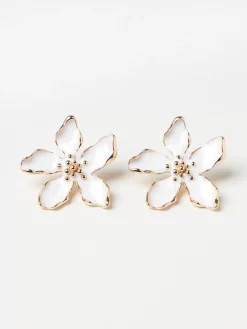 Accessoarer><noscript><img width=