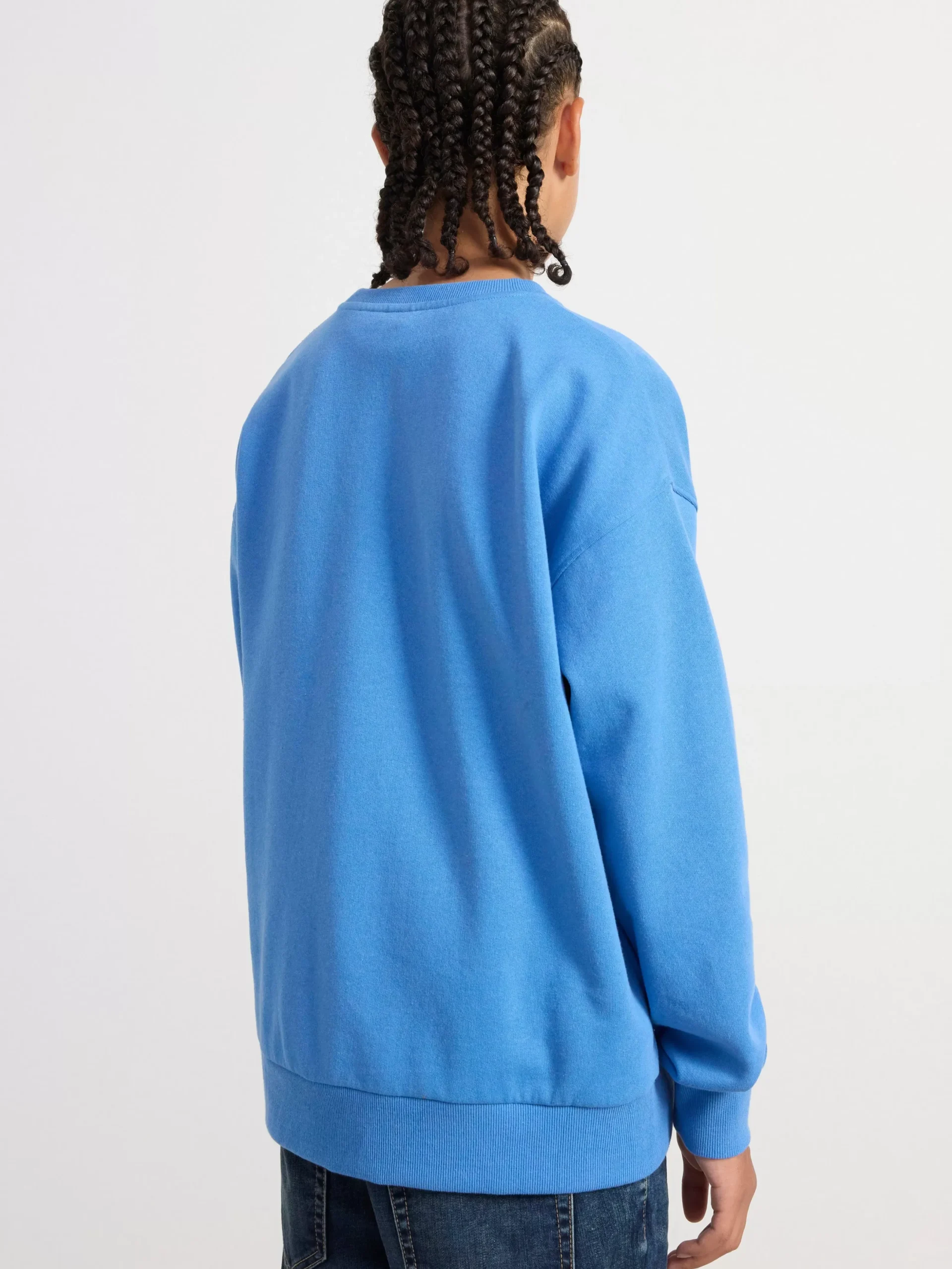 Tröjor & Cardigans>Lindex Sweatshirt Med Borstad Insida Blue