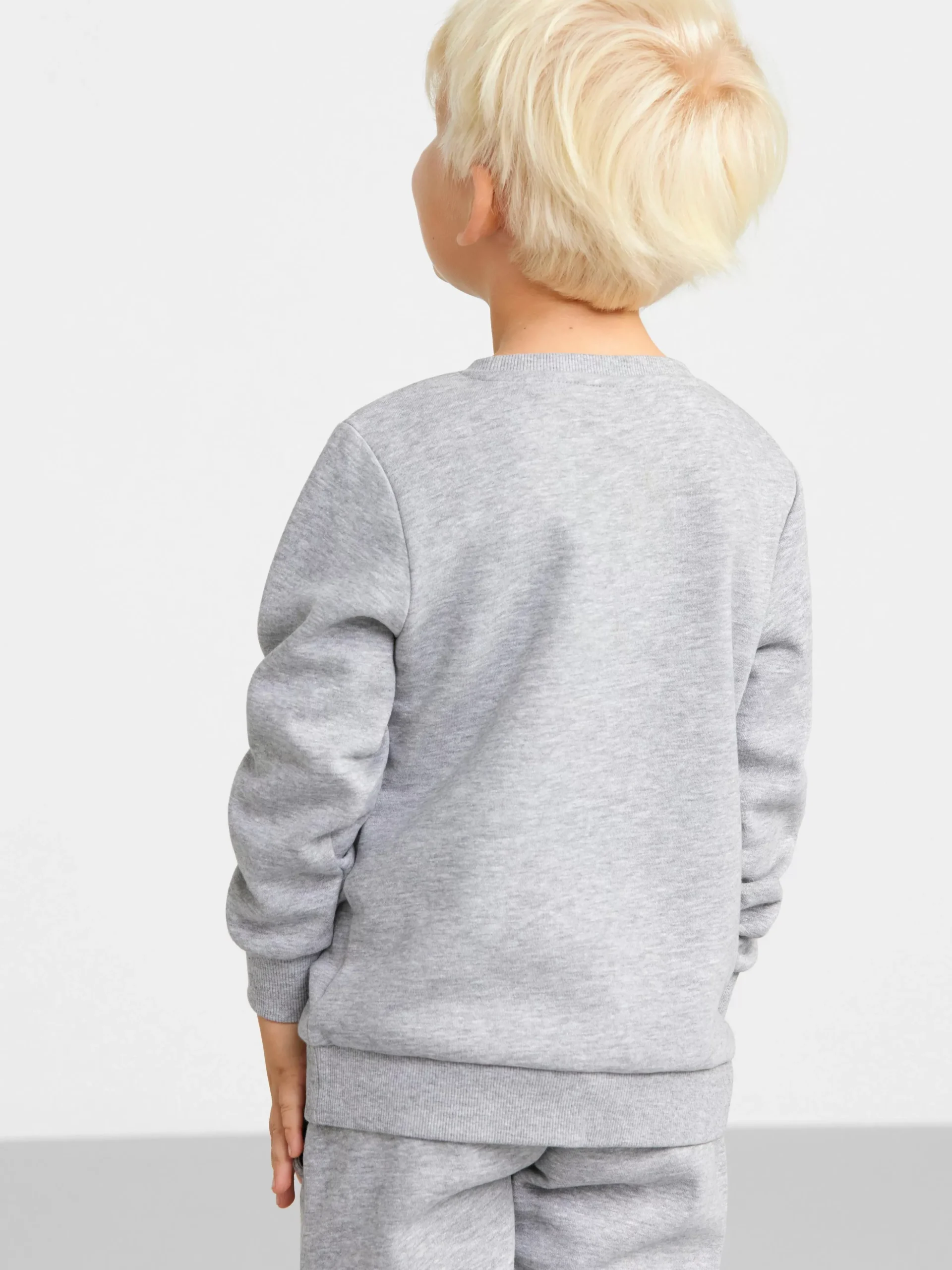 Tröjor & Cardigans>Lindex Sweatshirt Med Borstad Insida Grey Melange